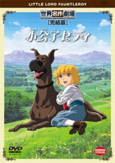 Shoukoushi Cedie animación