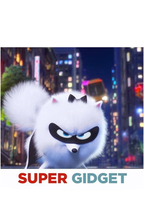 Super Gidget animación