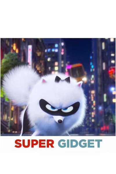 Super Gidget animación