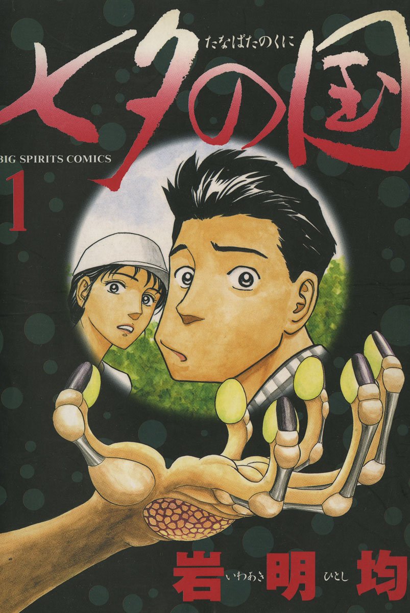 Tanabata no Kuni comic