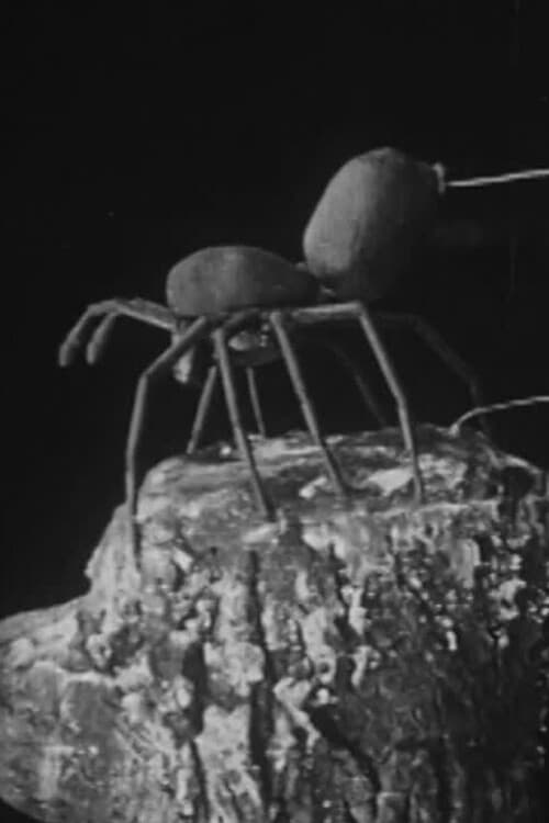 To Demonstrate How Spiders Fly animación