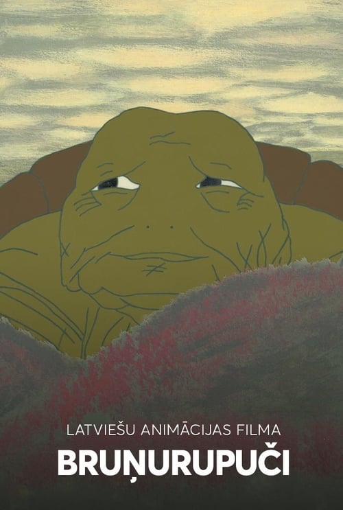 Turtles animación