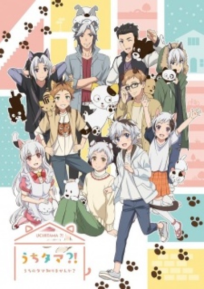 Uchi Tama?! Uchi no Tama Shirimasen ka? animación