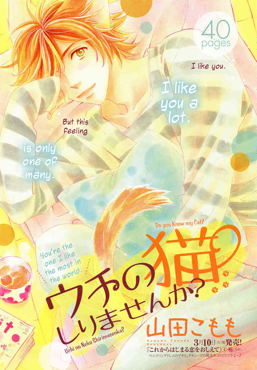 Uchi no Neko Shirimasenka? comic