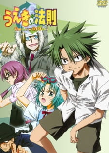 Ueki no Housoku animación