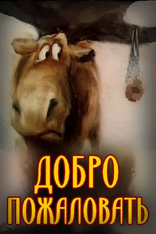 Welcome animación