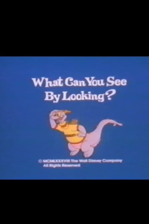 What Can You See by Looking? animación