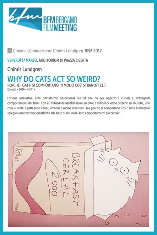 Why Do Cats Act So Weird? animación