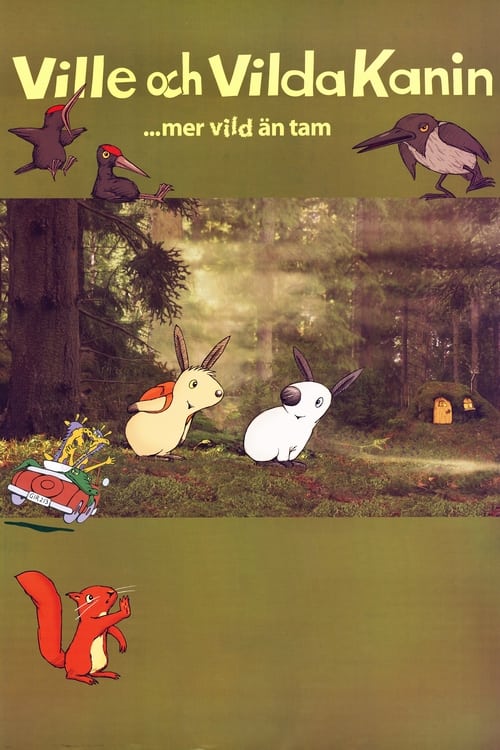 Willy and Wild Rabbit animación
