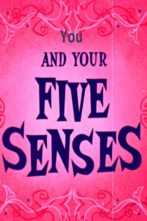 You and Your Five Senses animación