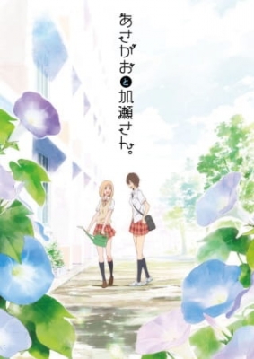 Your Light: Kase-san and Morning Glories animación